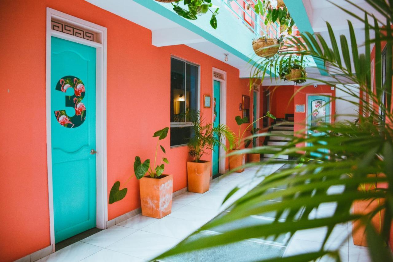 סנטה מרתה Flamingo Hostel & Coworking מראה חיצוני תמונה
