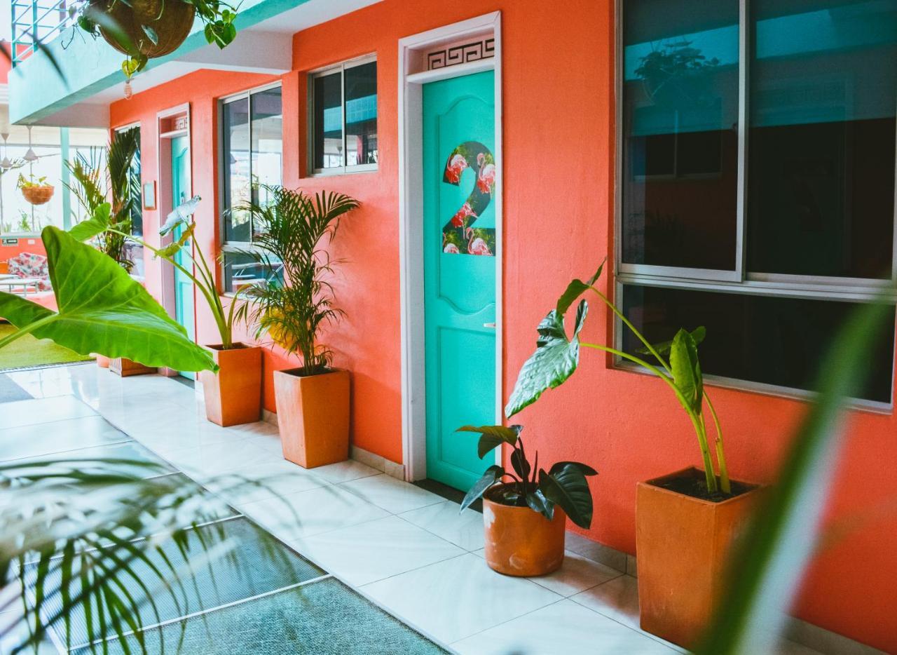 סנטה מרתה Flamingo Hostel & Coworking מראה חיצוני תמונה