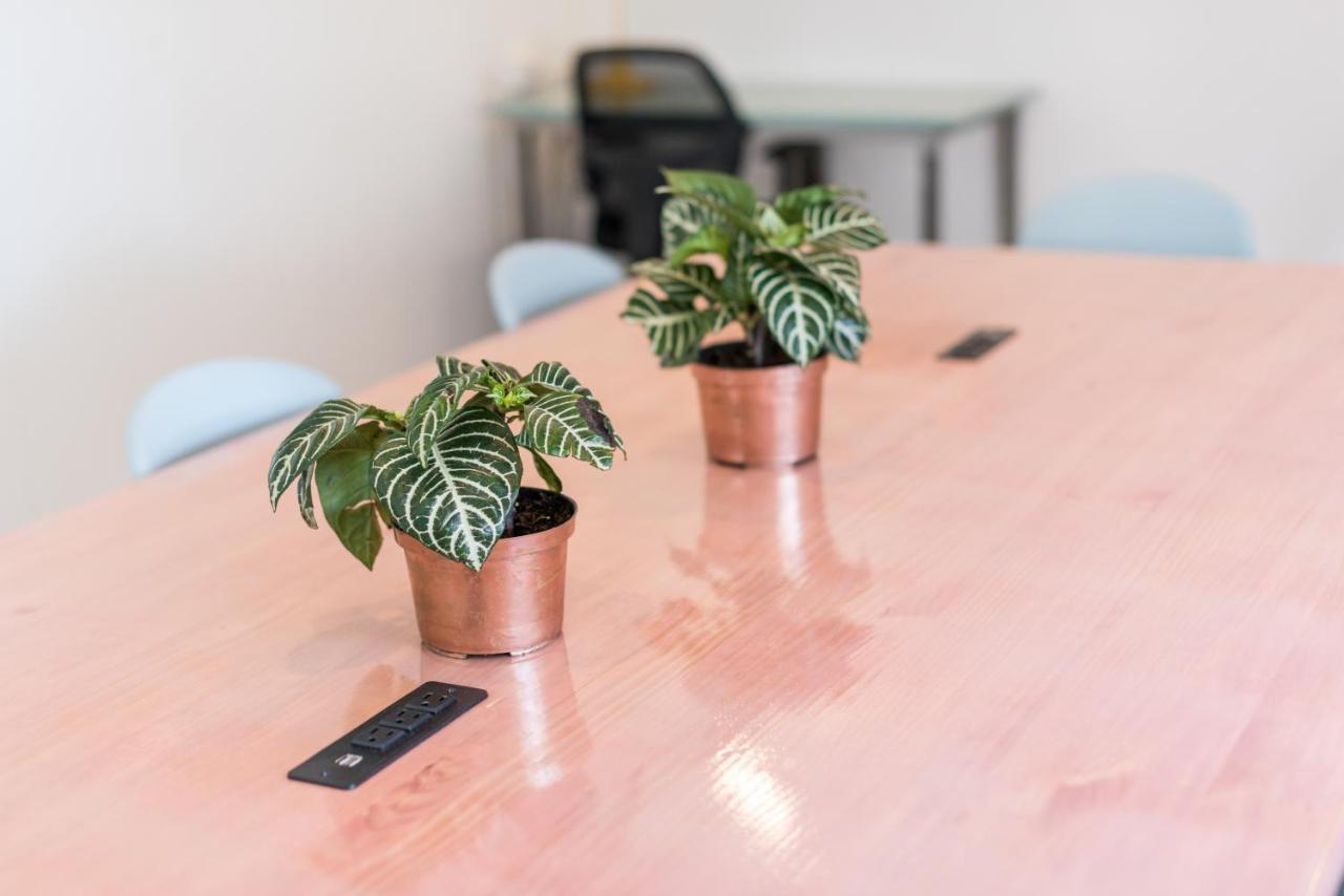 סנטה מרתה Flamingo Hostel & Coworking מראה חיצוני תמונה